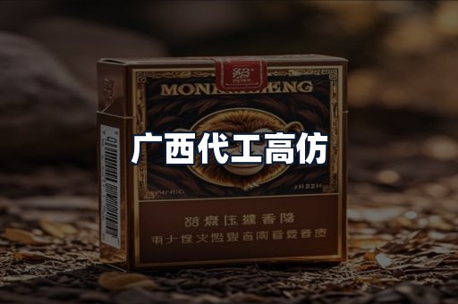 广西代工高仿